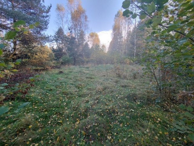 Działka Sprzedaż Siedlec Mały