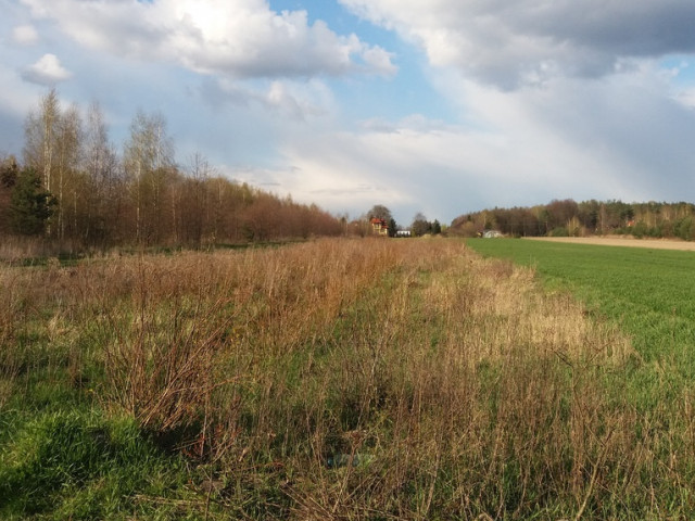 Działka Sprzedaż Borowa Góra