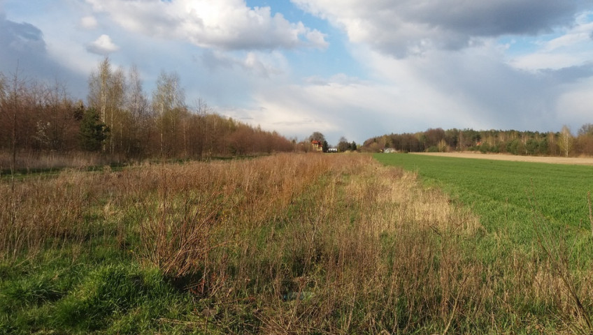 Działka Sprzedaż Borowa Góra