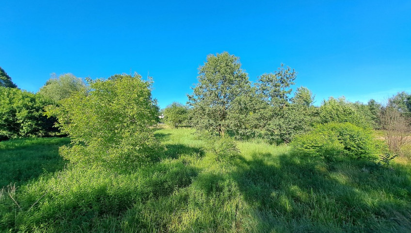 Działka Sprzedaż Ruda Śląska Kłodnica