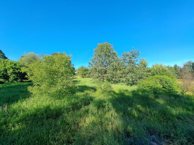 Działka Sprzedaż Ruda Śląska Kłodnica